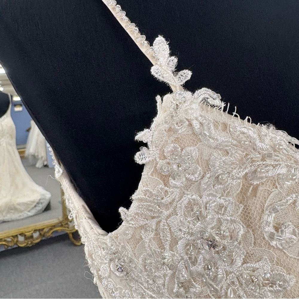 Maggie Sottero “IDA” Wedding Dress - Picture 6 of 12